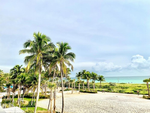 BROADMORE MIAMI BEACH image 17