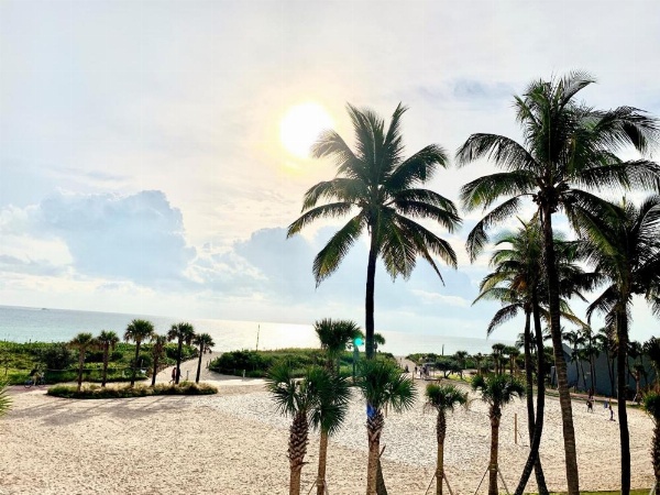 BROADMORE MIAMI BEACH image 18
